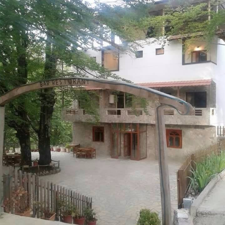 Hotel Antika