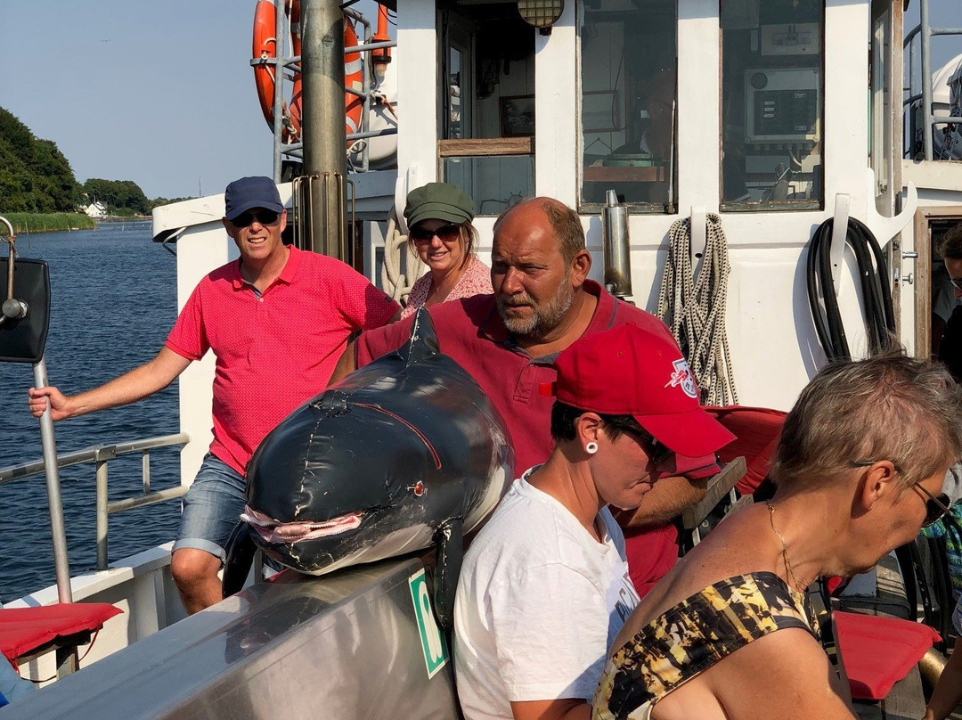 Gammel Havn, Middelfart-米泽尔法特必去景点