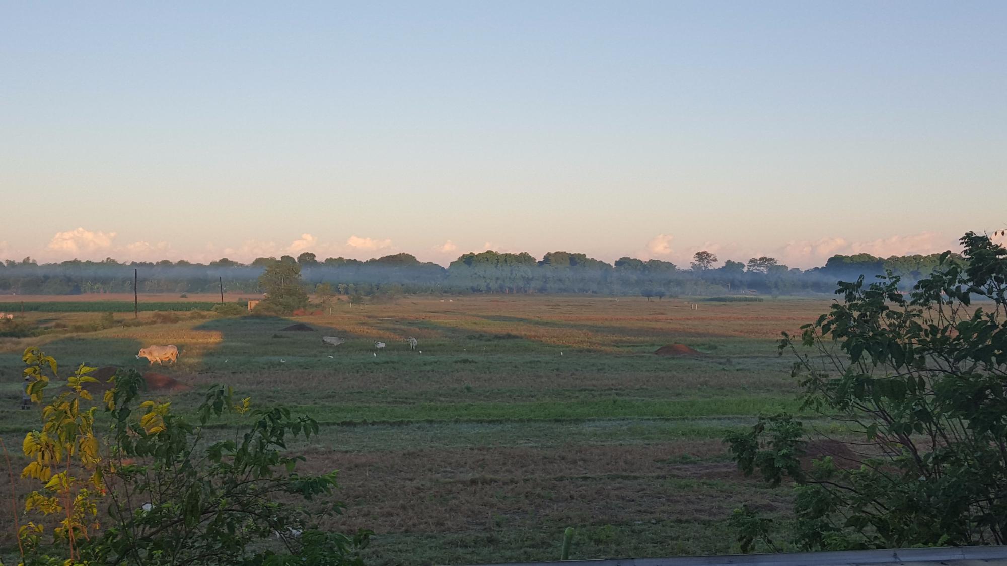 Goatcienda Farm Bed and Breakfast-酒店景观