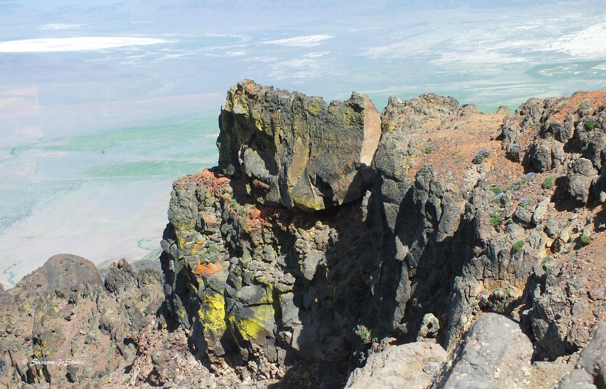 Steens Mountain Wilderness Resort-客卧