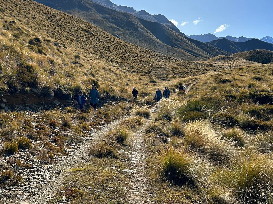 Glentanner High Country Heli Hike-库克山村庄必去景点
