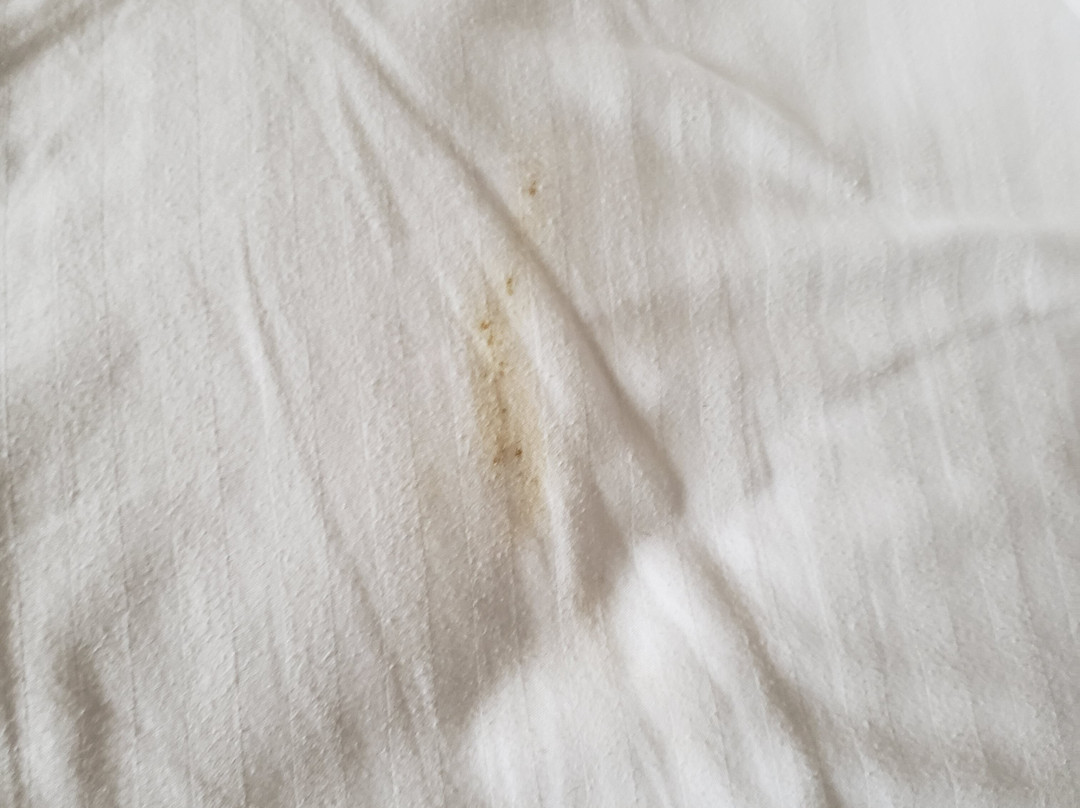 劳雷尔汽车旅馆主图