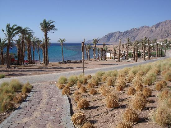 Poseidon Divers-达哈卜必去景点