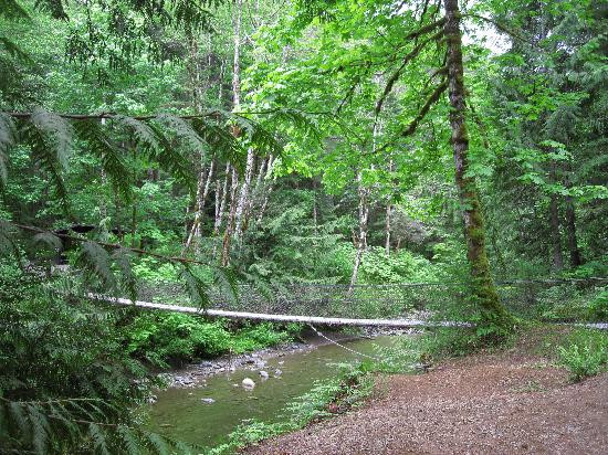 Horne Lake Caves Provincial Park景点图片