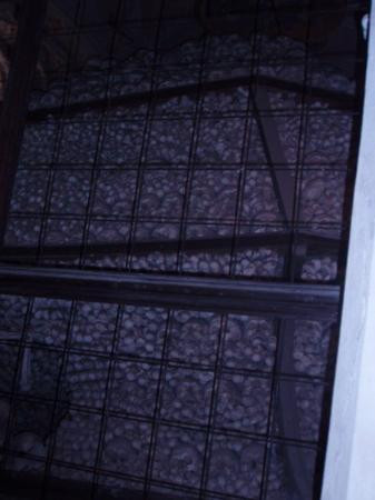 Gothic Stone House (Kamenny dum)-库特纳霍拉必去景点