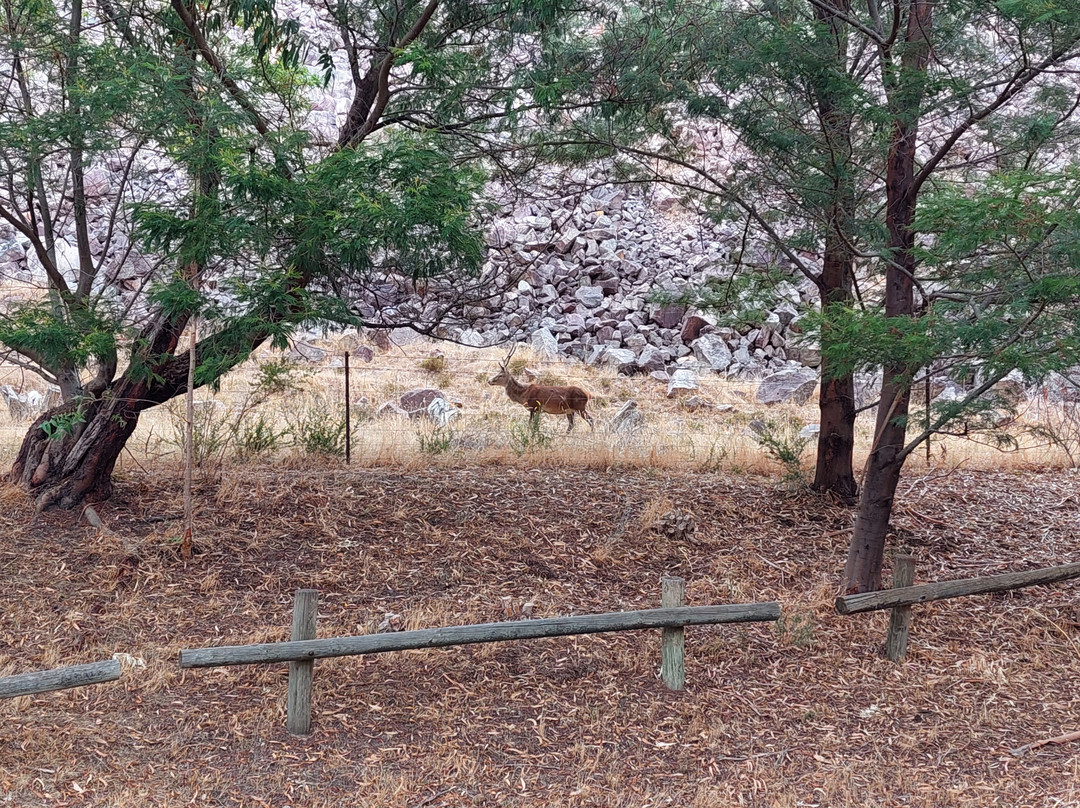 Lake Bellfield-贺思盖必去景点