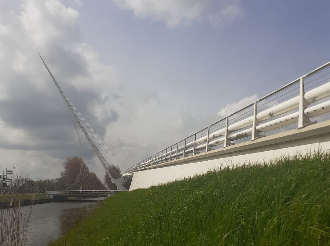 Hangbrug "Citer" (Calatrava 2003)景点图片