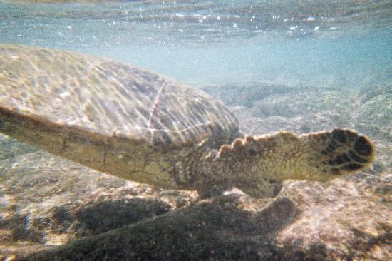 海滨公园-凯乌渥必去景点
