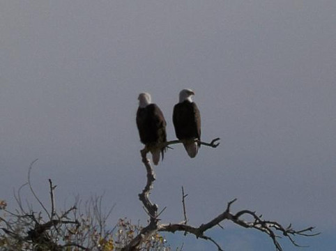 Stellar Adventures-斯科茨代尔必去景点