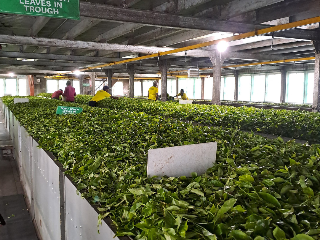 Smart Taxi & Tours Pasikudah-卡尔库达必去景点