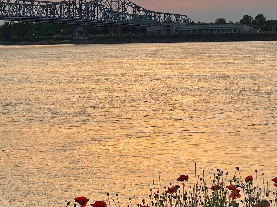 Natchez Bluffs and Under-the-Hill Historic District景点图片