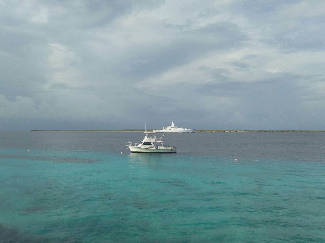 Viva Bonaire Tours-Kralendijk必去景点