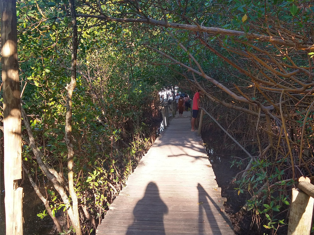 Praia dos Coqueiros-特兰科苏必去景点