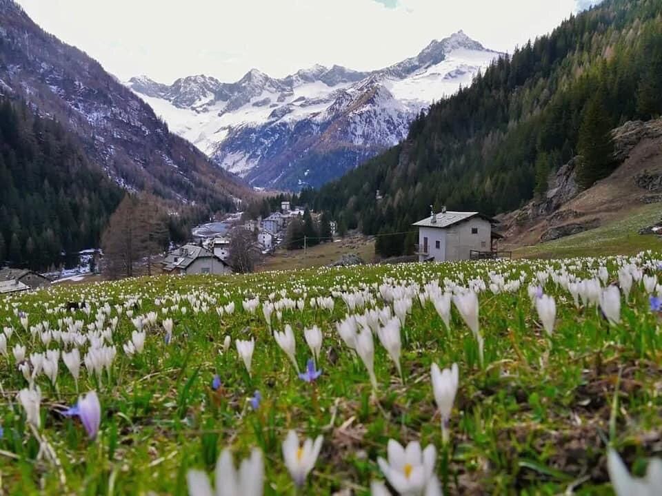 Chalet Tana Del Grillo