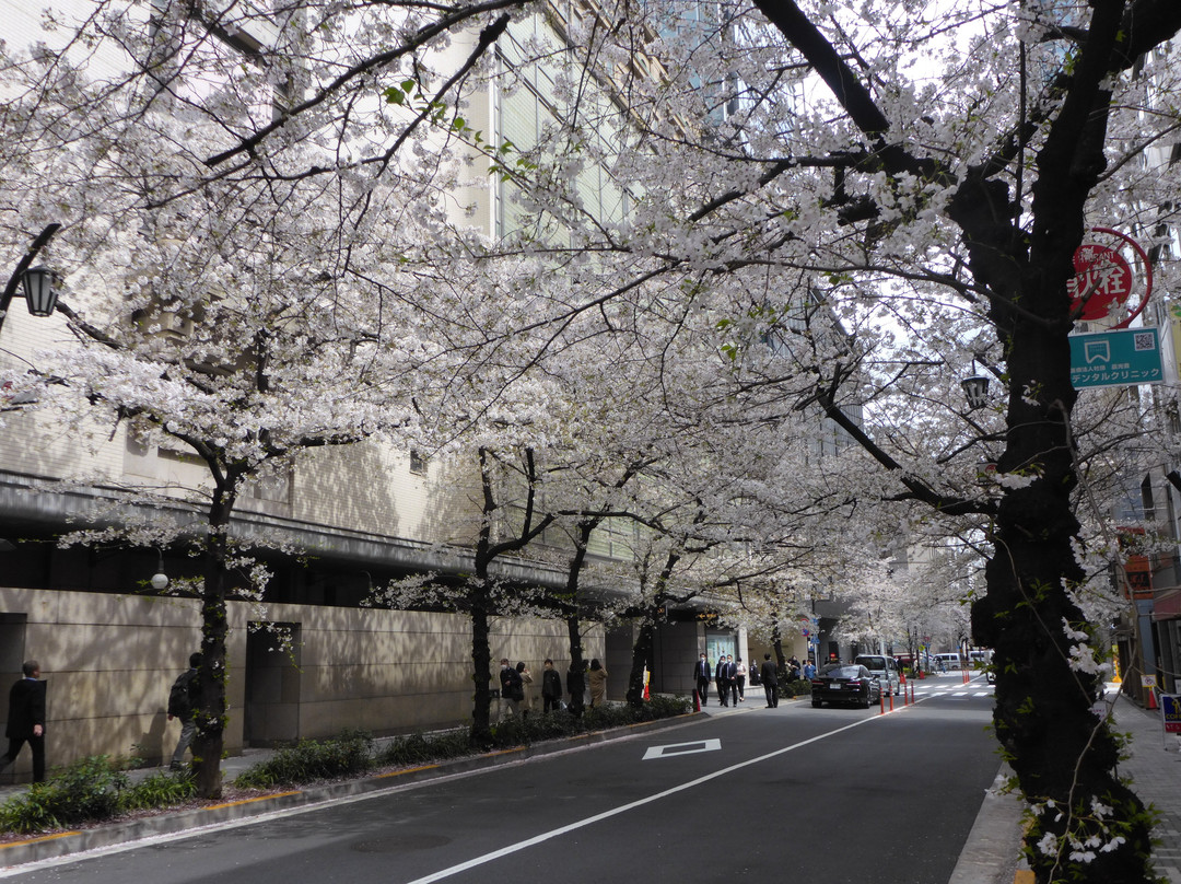 Yaesu Sakura Dori