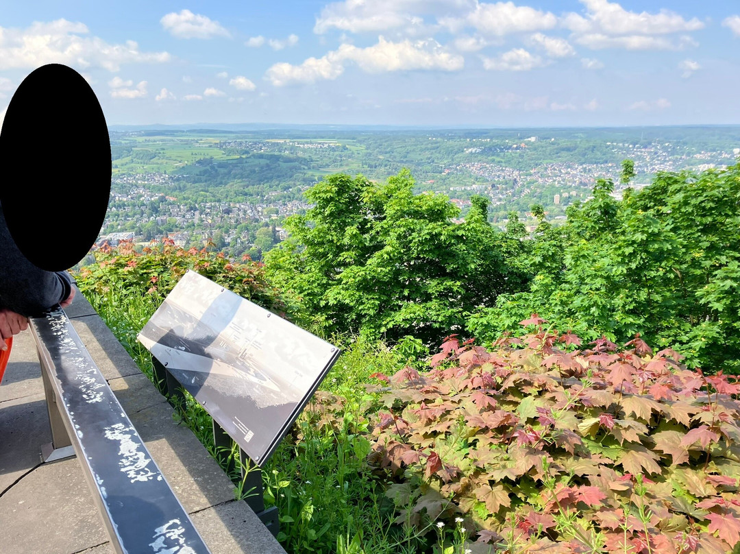 Aussichtsplattform Drachenfels景点图片