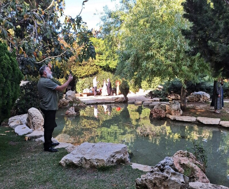 Japanese Garden-霍隆必去景点