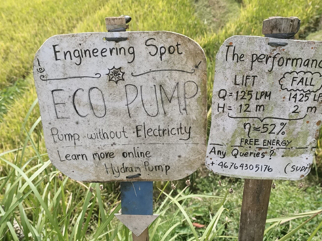 Ubud Bali Made Tour-乌布必去景点