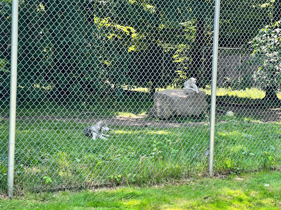 Noah's Lost Ark, Inc.-Berlin Center必去景点