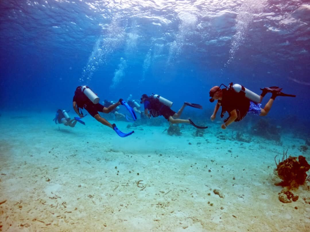 Varadero Diving Tour景点图片