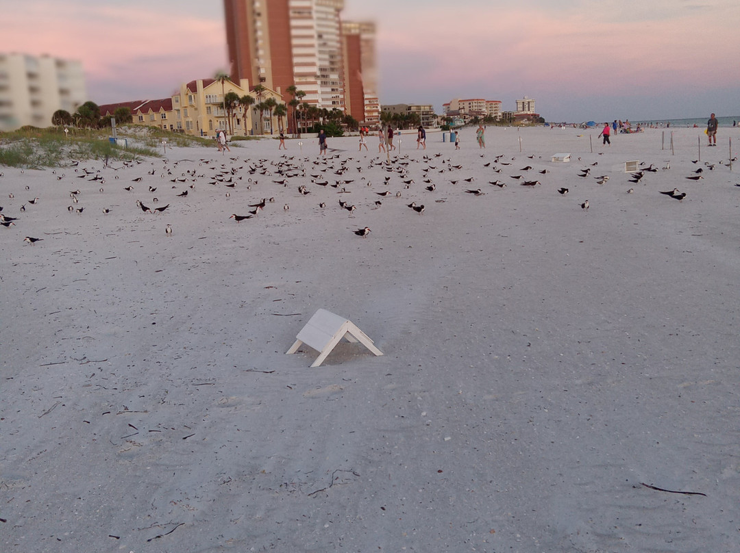 Carousel Suites主图