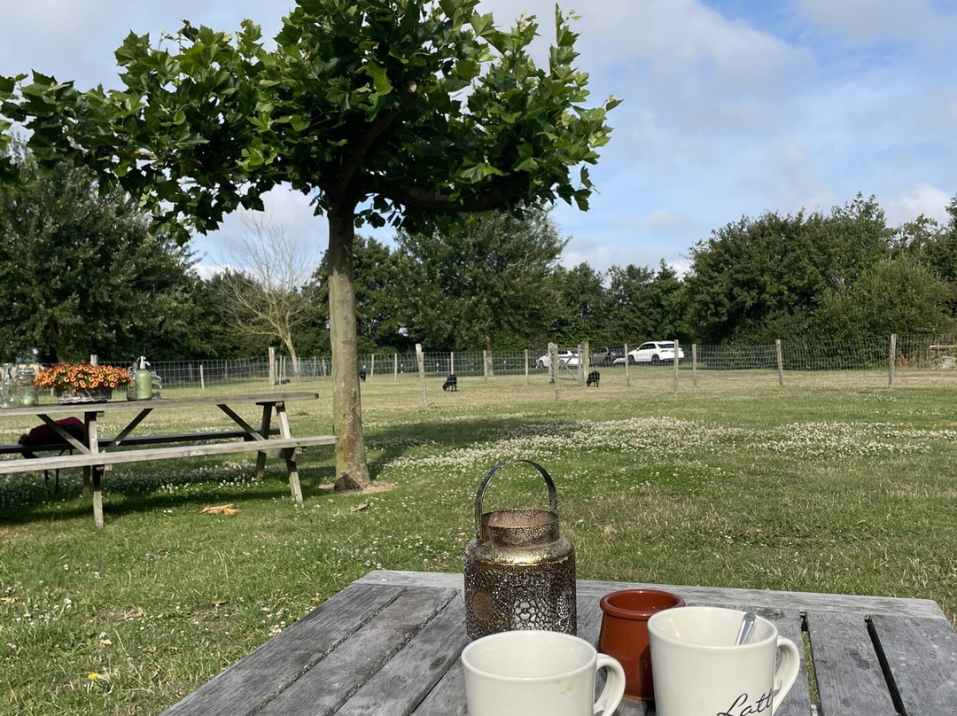 Hof van Renesse主图