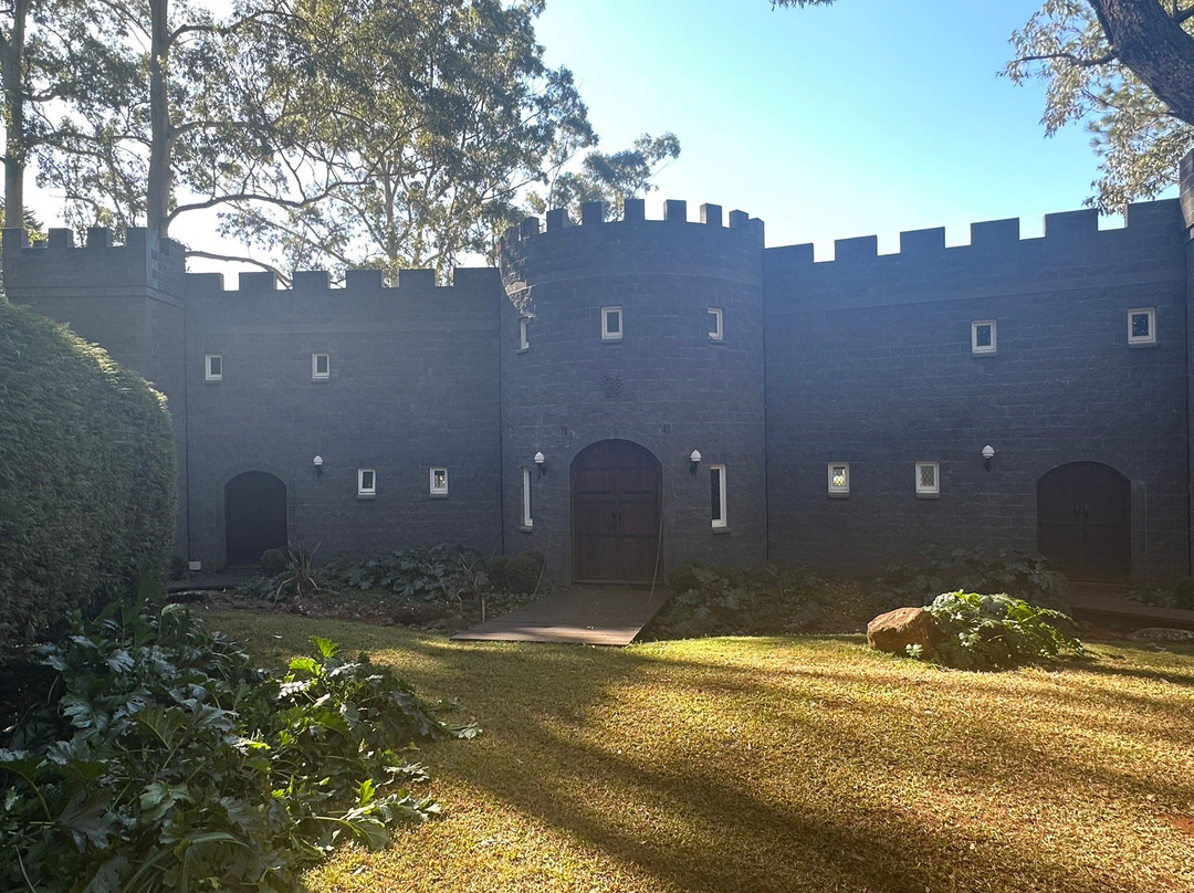 The Castle on Tamborine主图