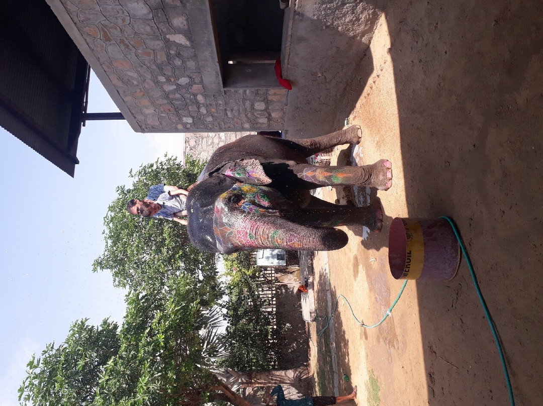 Elephant Fun Park-斋蒲尔必去景点