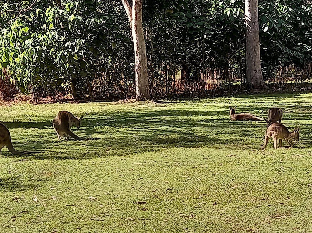 Coombabah Lakes Conservation Area-Coombabah必去景点