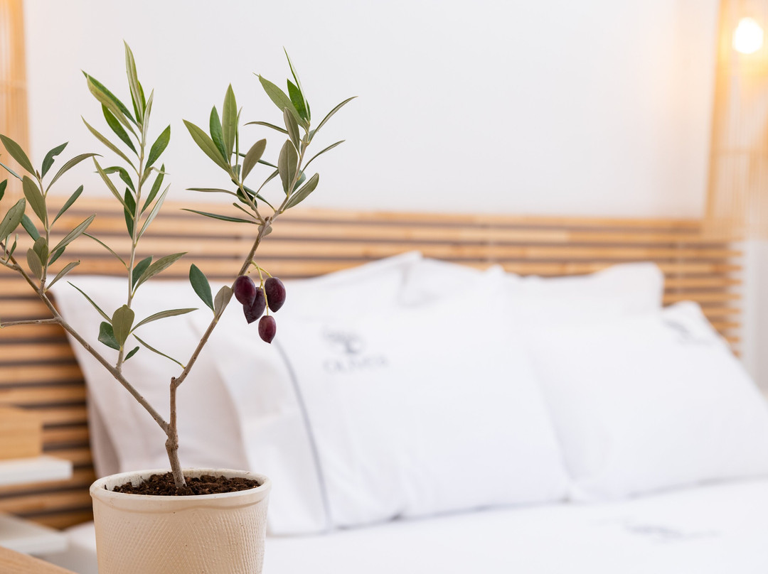 Olivea Premium Holiday Homes