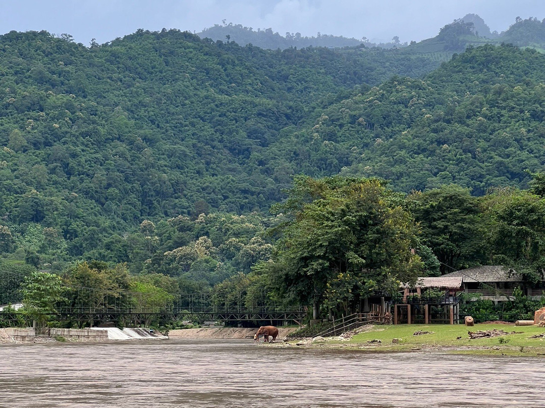 Tubing Chiang Mai景点图片