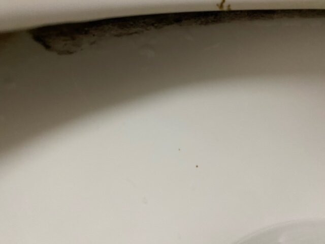 Homewood Suites by Hilton Birmingham-SW-Riverchase-Galleria主图