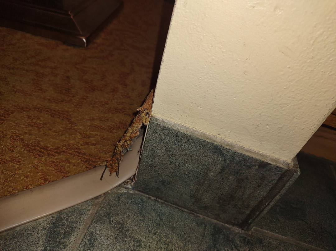 Country Inn & Suites by Radisson, Rochester South, MN主图