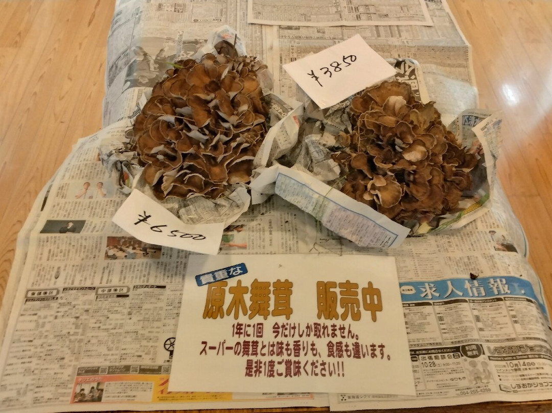 Umegashima Shinden Onsen Koganenoyu-静冈市必去景点