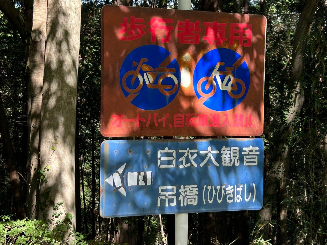 Takasakibyakue Daikannon景点图片