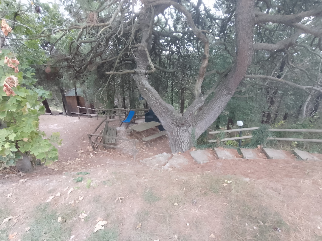 Agriturismo Ca' Maddalena主图