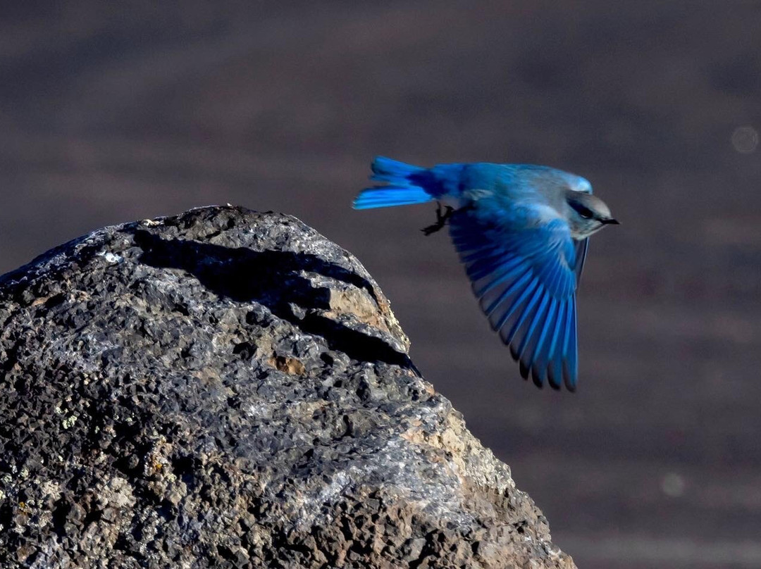 Fish Lake-Sevier必去景点