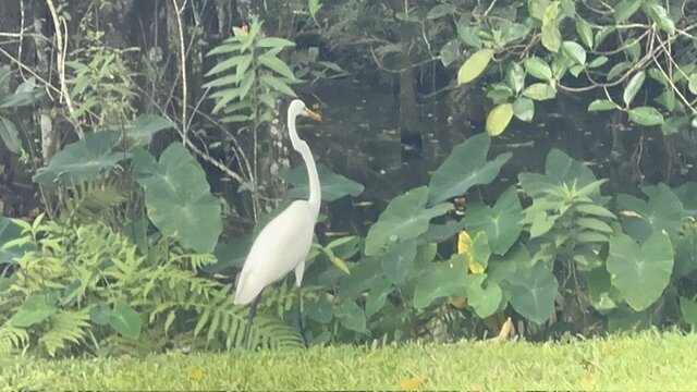 Parkway Motel & Marina主图