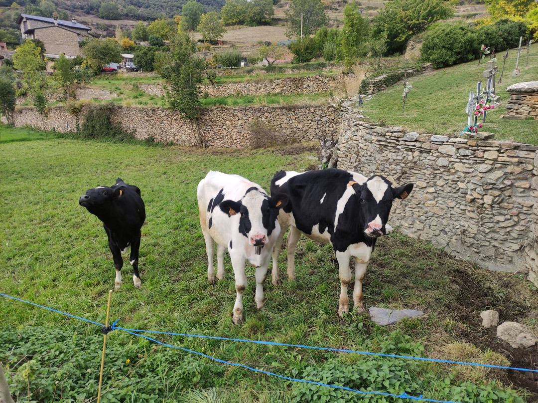 L'Era de Cal Bastida主图