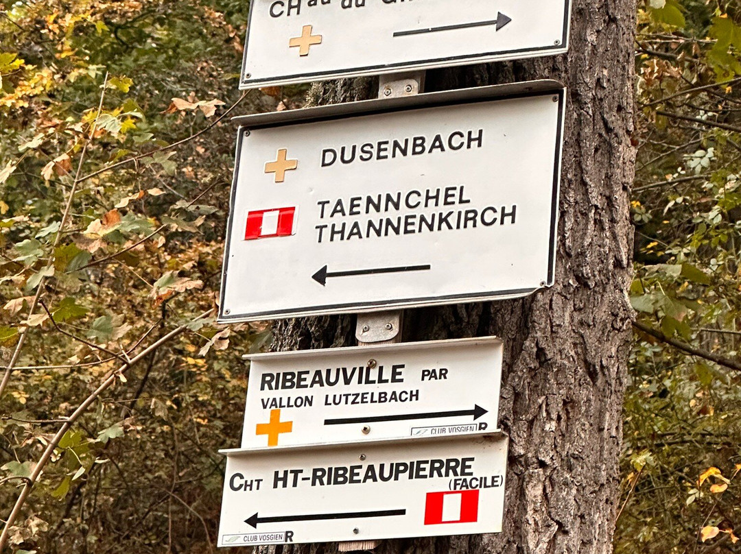 Château de Saint-Ulrich-里博维尔必去景点