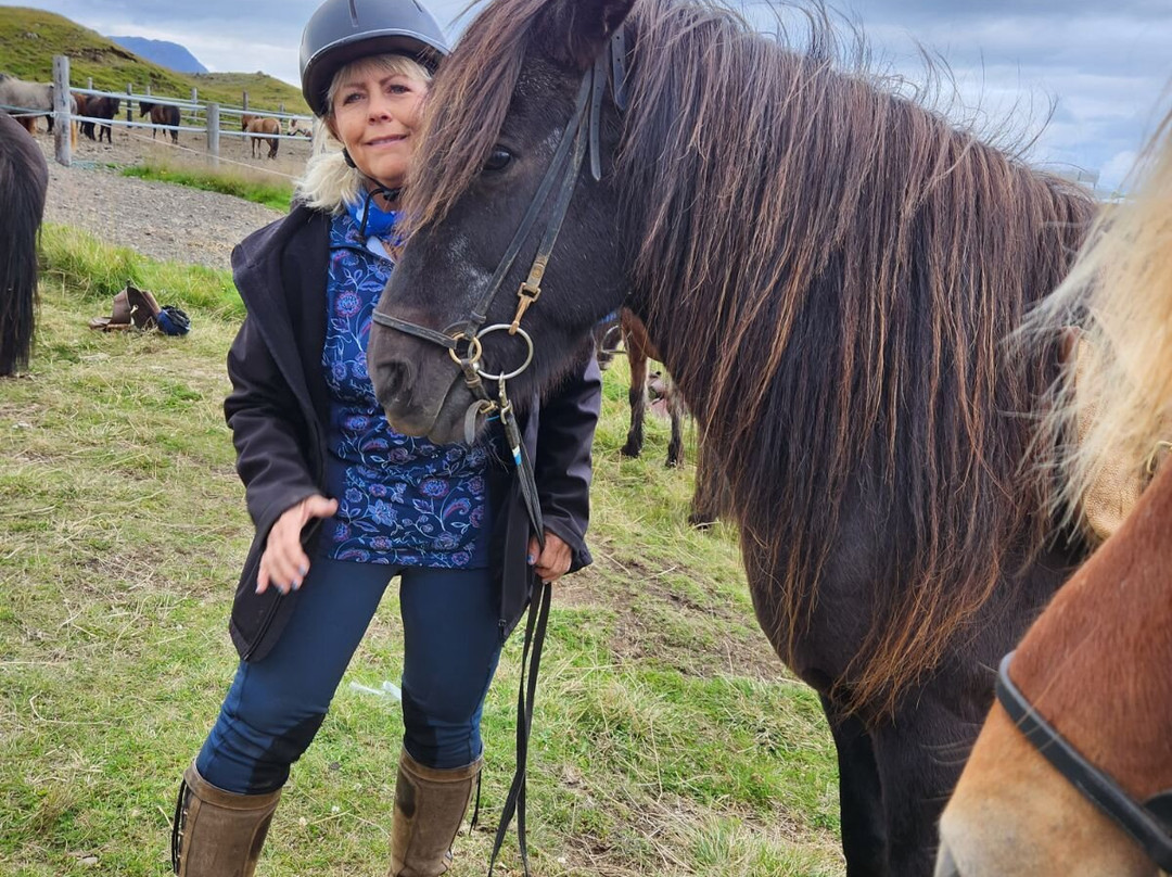 Riding Iceland ehf-胡萨维克必去景点