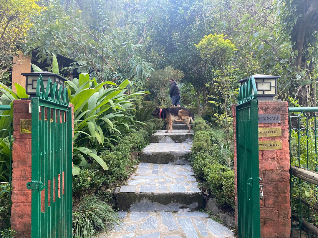 The Mirage Andretta主图