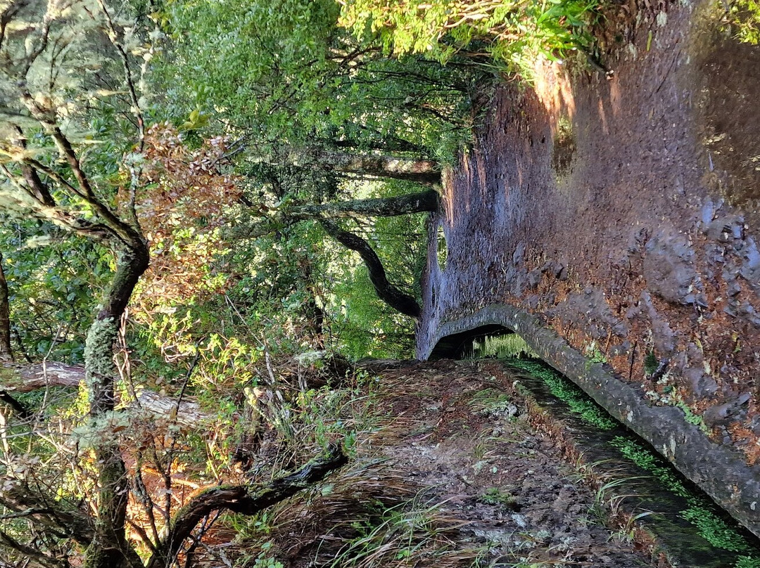 Balcoes de Ribeiro Frio景点图片