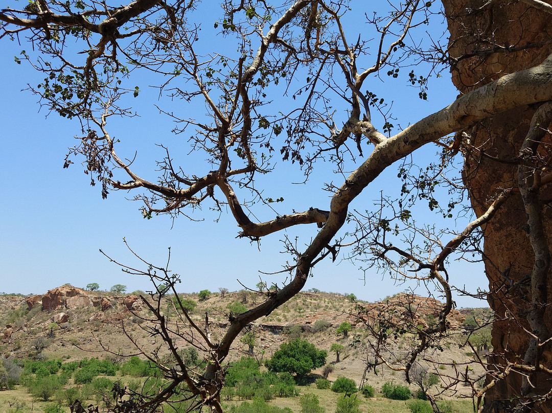 马蓬古布韦文化景观-Mapungubwe National Park必去景点