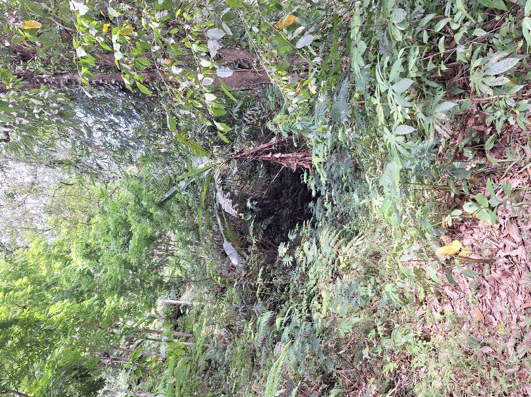 LADINAtour-登巴萨必去景点