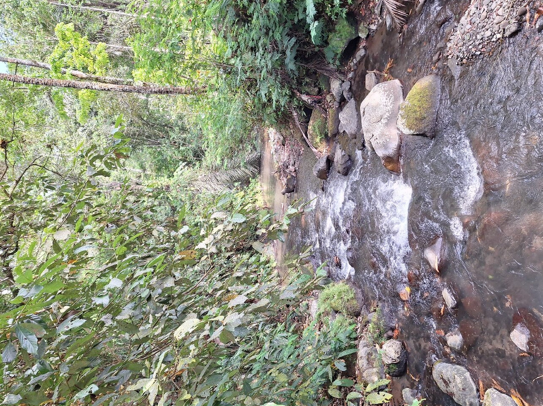 LADINAtour-登巴萨必去景点