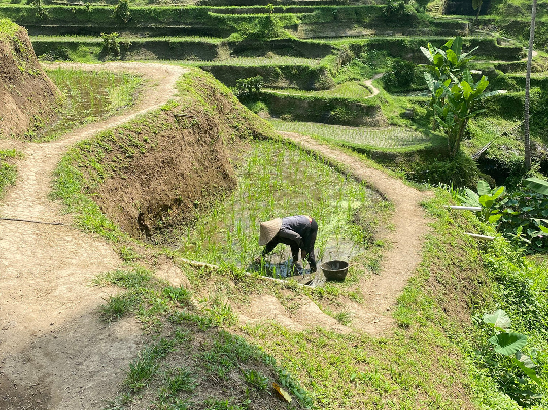 Bali Trip Host-金巴兰必去景点