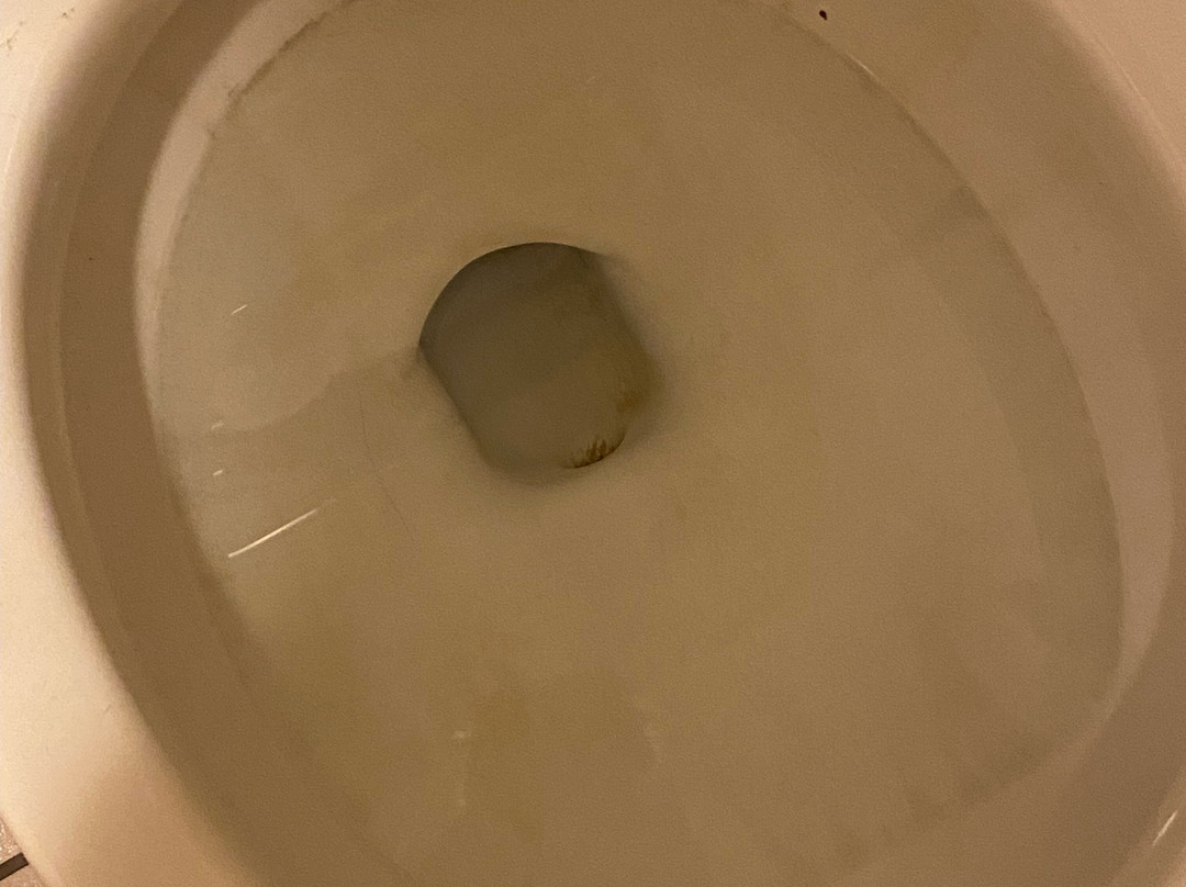 Super 8 by Wyndham Dodgeville主图