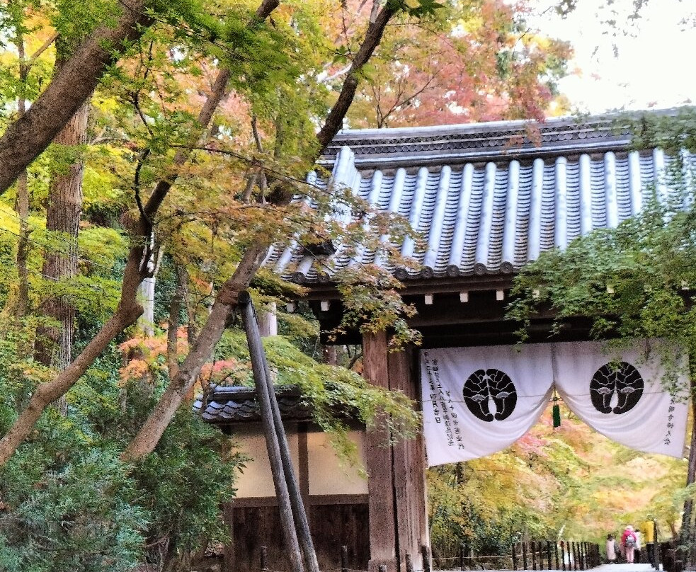 Komyoji Temple-长冈京市必去景点