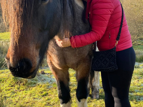 Full circle experiences-安布赛德必去景点